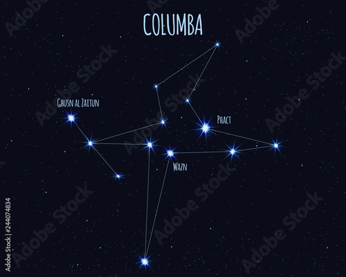Columba (The Dove) constellation, vector illustration with the names of basic stars against the starry sky