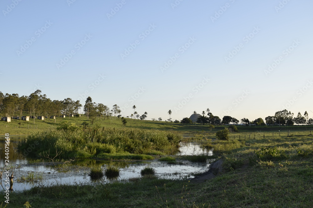 Lagoa em horizonte rural. Gramado verde e paisagem tropical Lagoa em horizonte rural. Gramado verde e paisagem tropical