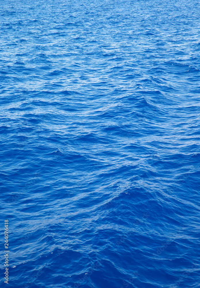 Tranquil underwater scene with copy space Tranquil underwater scene with copy space