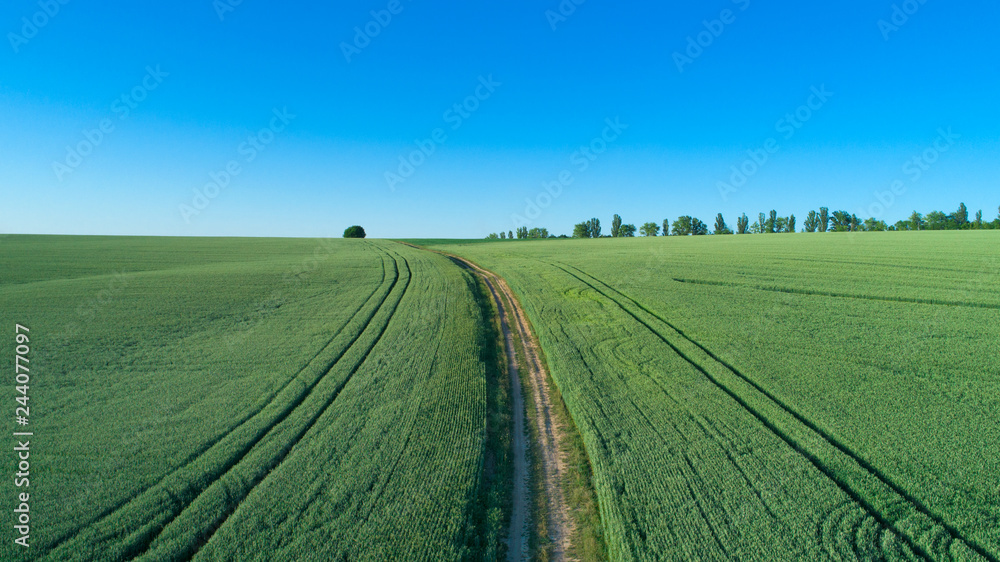 green field and blue sky