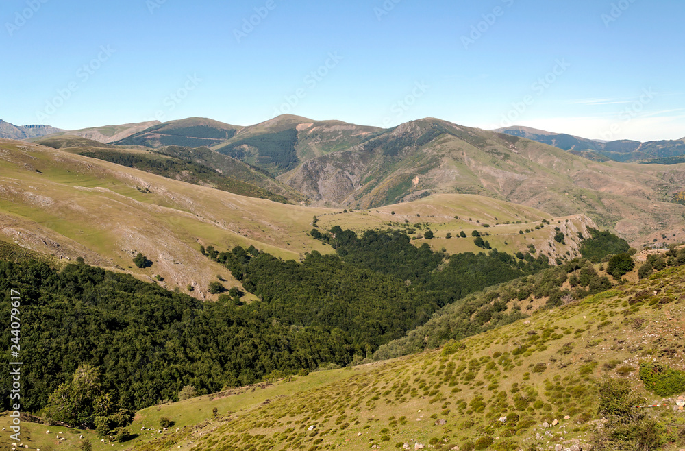 Forest in the Spanish province of Soria on a sunny day Forest in the Spanish province of Soria on a sunny day