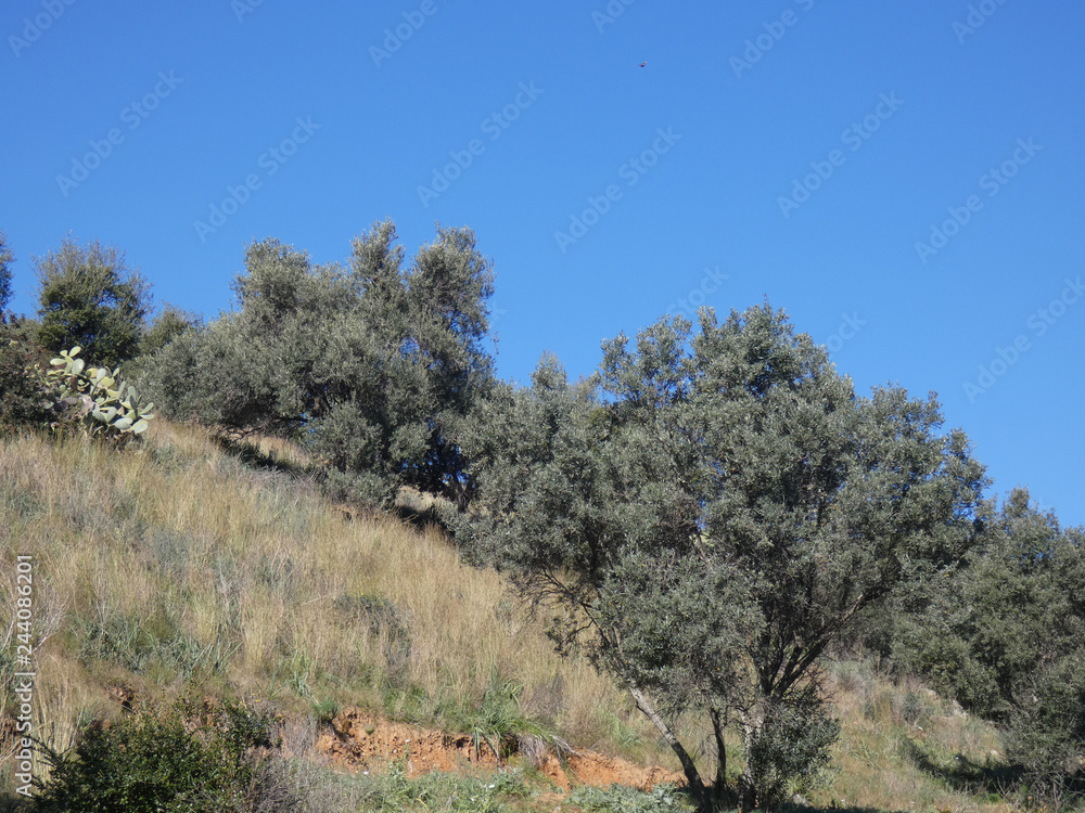 Paesaggio Paesaggio