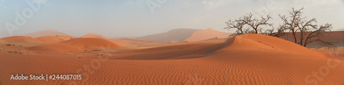 Fotografia Picturesque Namib desert landscape, panoramic scene of huge red dunes  against blue sky near famous Deadvlei