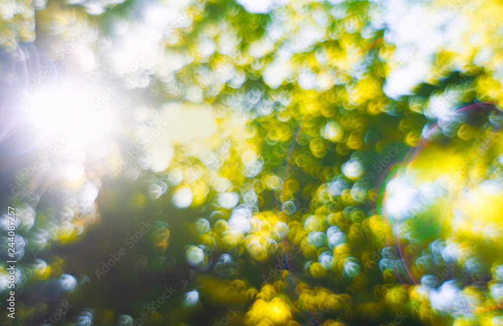 Obraz premium Abstract blurred summer spring background