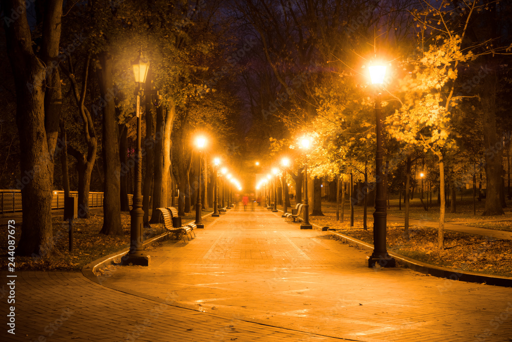 City park alley, bench, trees and lanterns. Night city park landscape