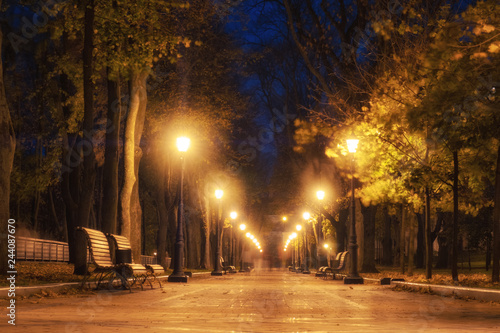 City park alley, bench, trees and lanterns. Night city park landscape
