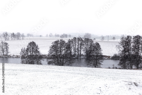 Snowfall in a field. Winter landscape..South Bohemian region. © Sergey Fedoskin