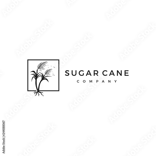 sugar cane logo vector icon illustration