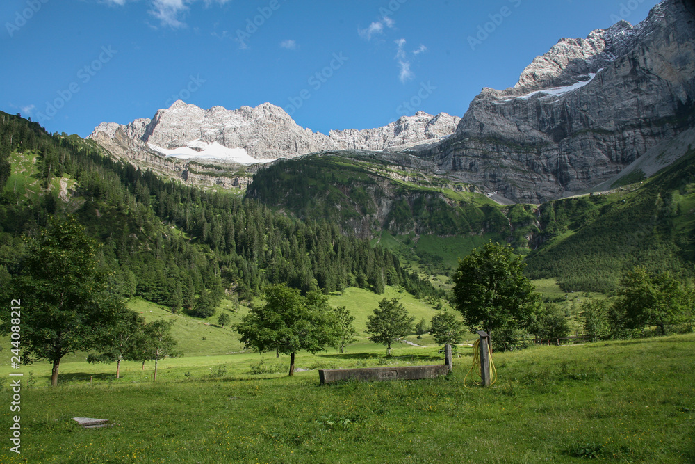 Mountains and trees in a valley in Tirol Austria 