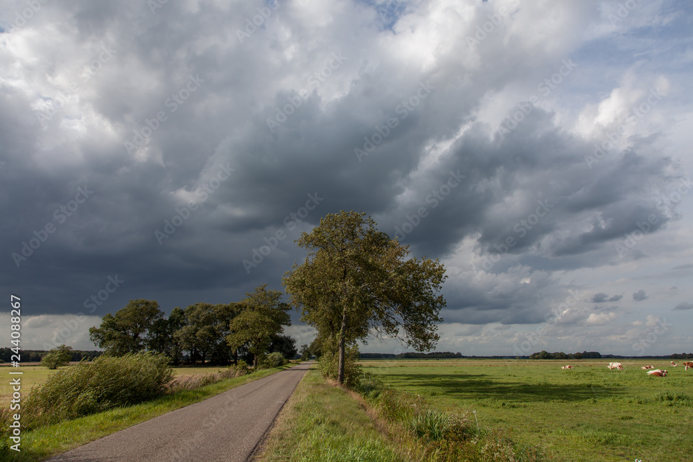 Dutch landscape with dark clouds and hard winds