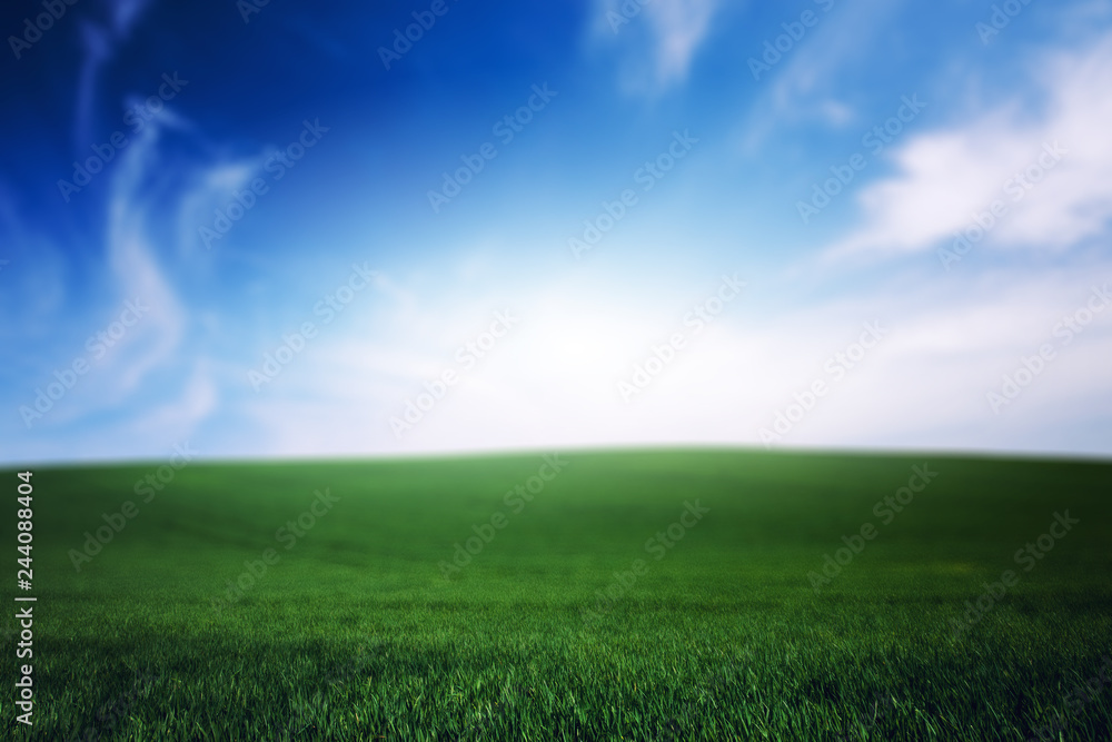 Green grass lawn and blue cloudy sky. Nature idyllic beauty world