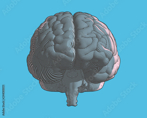 Brain engraving graphic illustration on blue BG photo