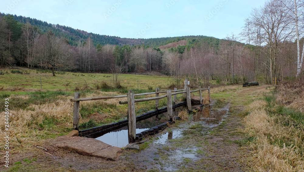 Natur Kneipp Fussbad Natur Kneipp Fussbad