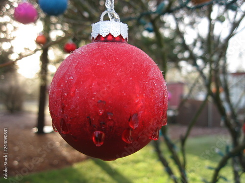 Red Bulb