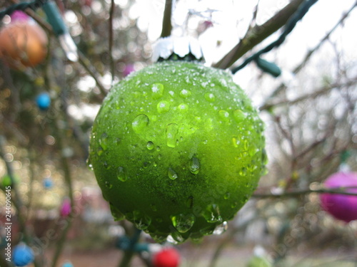 Green Bulb