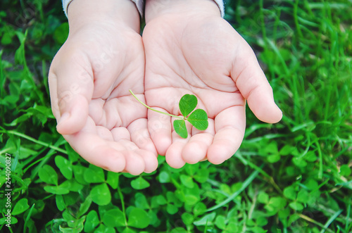 Clover leaf. Happy St. Patrick's Day. Selective focus. photo