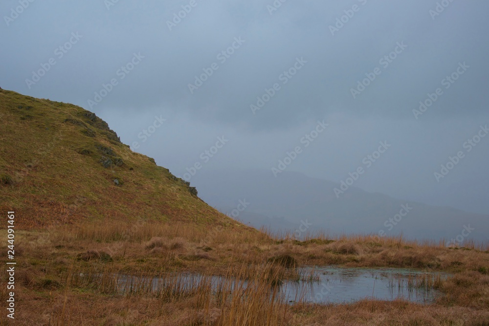 Small reedy tarn: tiny mountain lake / pond fringed with brown grass on a misty day