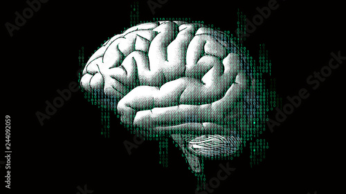 Digital code brain illustration isolated on black BG