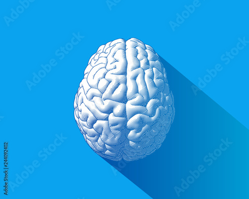 White brain illustration isolated on blue BG