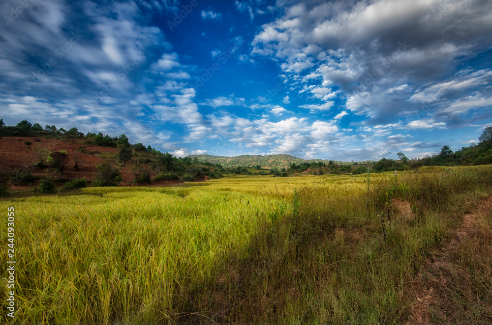 Myanmar's rice terraces Myanmar's rice terraces