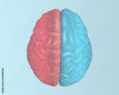 Pink and blue wireframe brain illustration on blue BG photo