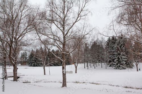 Wallpaper Mural Beautiful winter snow landscape in Finland Torontodigital.ca