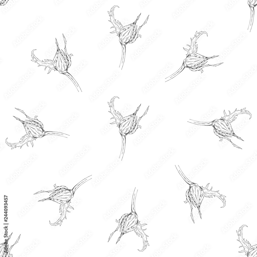 Fototapeta premium Seamless pattern. Plant in blossom, branch with flower ink sketch. Template for a business card, banner, poster, notebook, invitation, color book