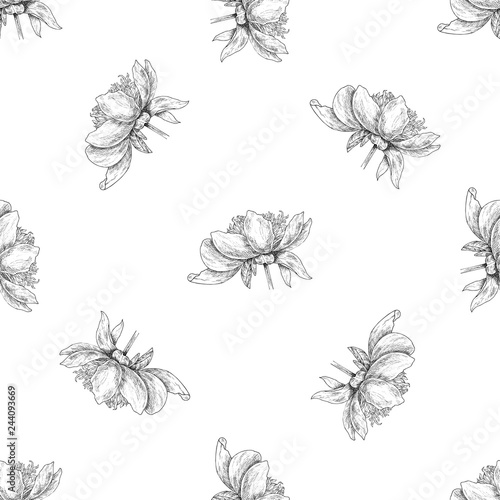 Seamless pattern. Plant in blossom  branch with flower ink sketch. Template for a business card  banner  poster  notebook  invitation  color book
