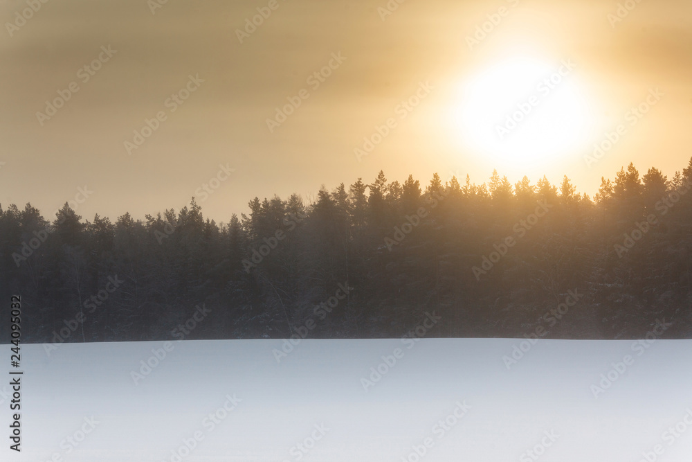 Fototapeta premium Winter landscape at sunrise
