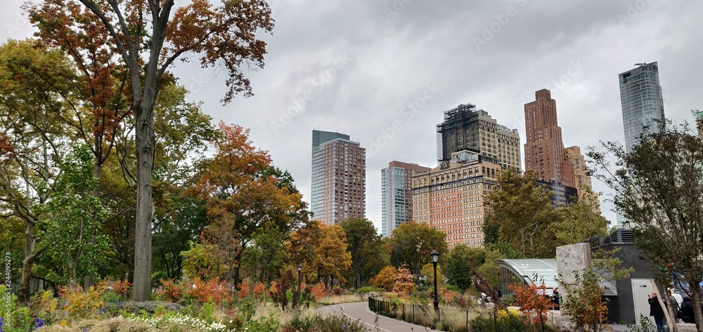 Fototapeta premium new york city