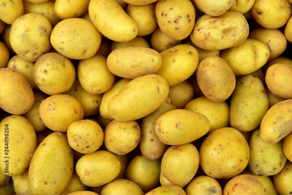 Background with bright fresh raw potatoes in the market Background with bright fresh raw potatoes in the market