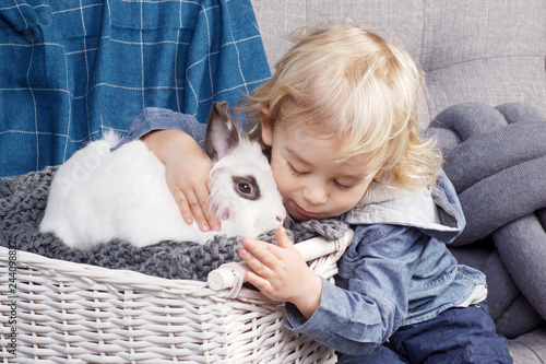 Lovely little boy plays with a white rabbit. The boy embraces a rabbit
