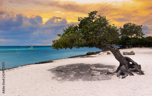 Fényképezés sunset beach in Aruba