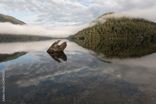 Lake Paringa in the early morning on a calm day with low cloud around the mountains, a tree stump in the foreground and reflections. West Coast, New Zealand. photo