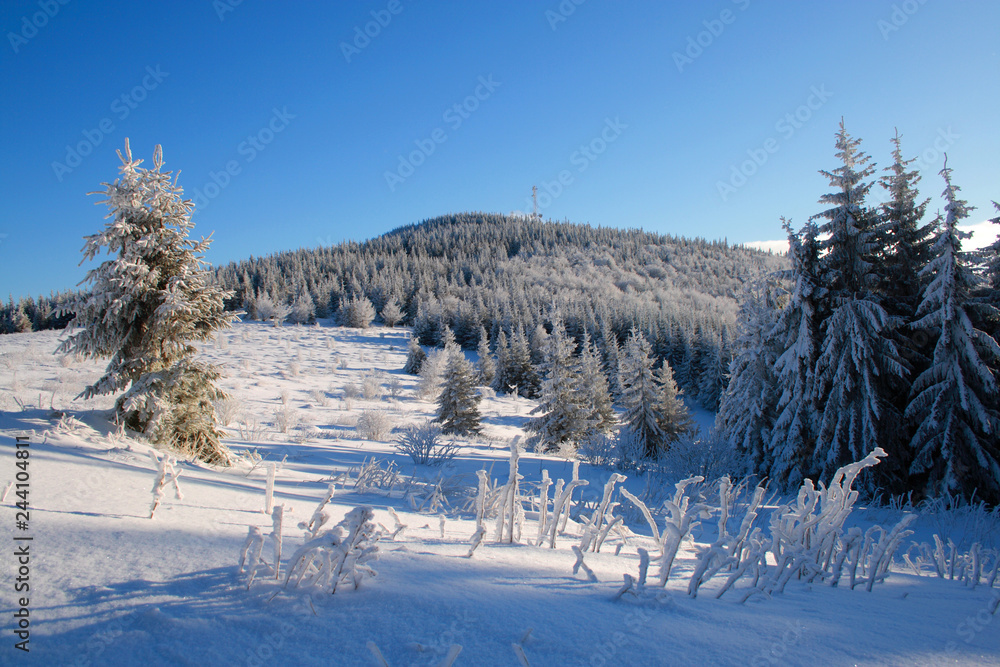 Hala Krupowa in Beskid Żywiecki, Carpathians, Poland
