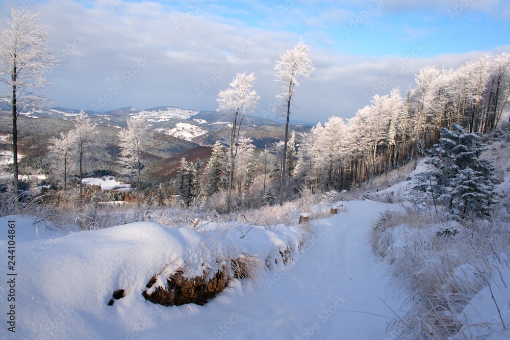 Trail in mountains in winter, Beskid Żywiecki, Carpathians, Poland