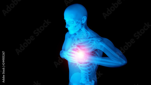 x ray 3d rendered skeletal medical illustration