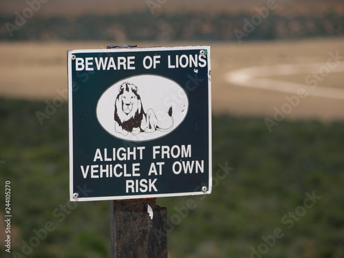 Beware of lions