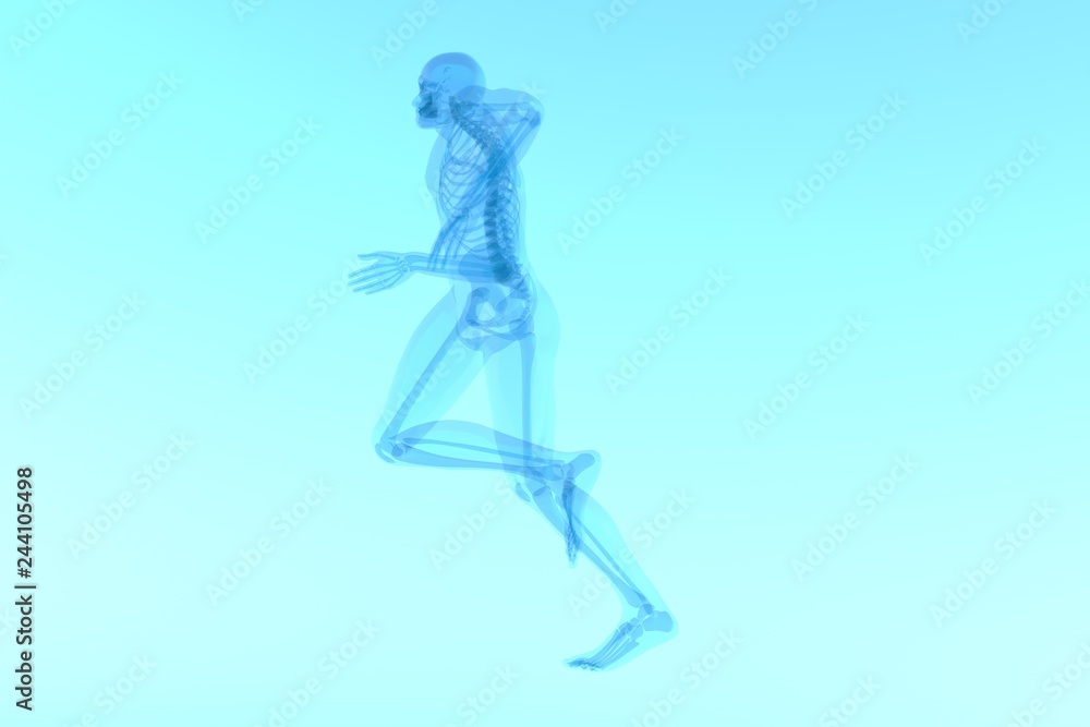 x ray 3d rendered skeletal medical illustration x ray 3d rendered skeletal medical illustration