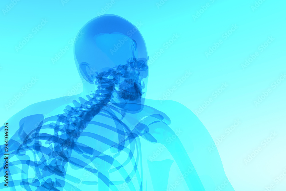 x ray 3d rendered skeletal medical illustration x ray 3d rendered skeletal medical illustration