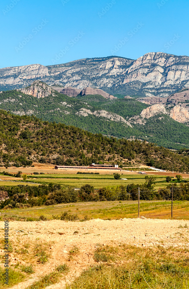 Fields cultivated in the north of Spain with the mountains in the background on a sunny day.