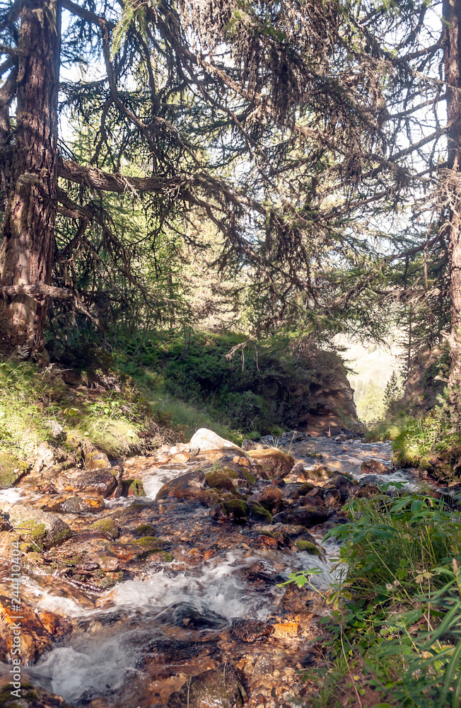 River in the mountains of the Swiss Alps in the Saint Luc valley on a sunny day.