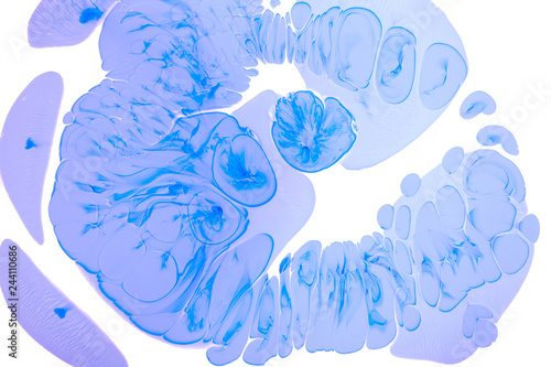 Abstract blue background white view macro microbe frost cells virus paint acrylic underwater molecule ultra marine drop blob drip