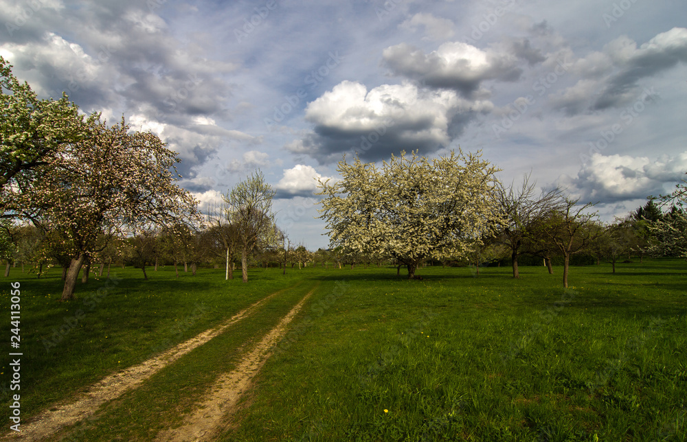 Frühling wird kommen