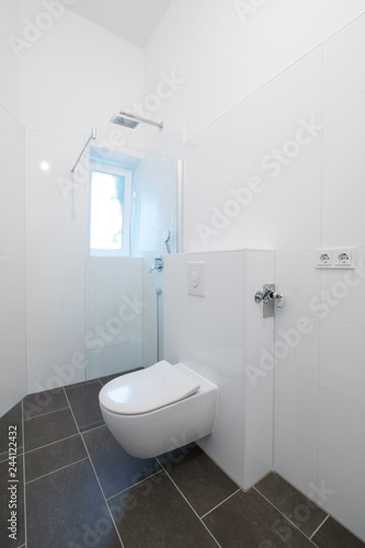 toilet and shower cubicle in newly renovated bathroom  -