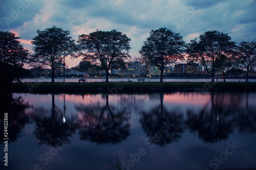 Silhouette of trees lining Boston Charles River at Sunset on a gloomy cloudy day photo