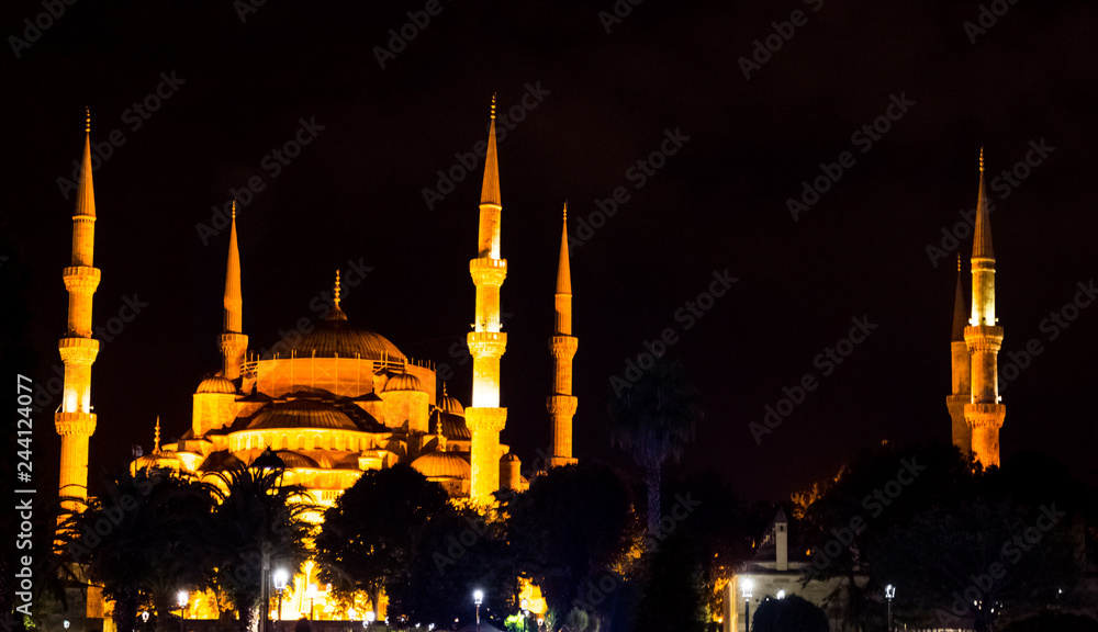 The illuminated Blue mosque during the night