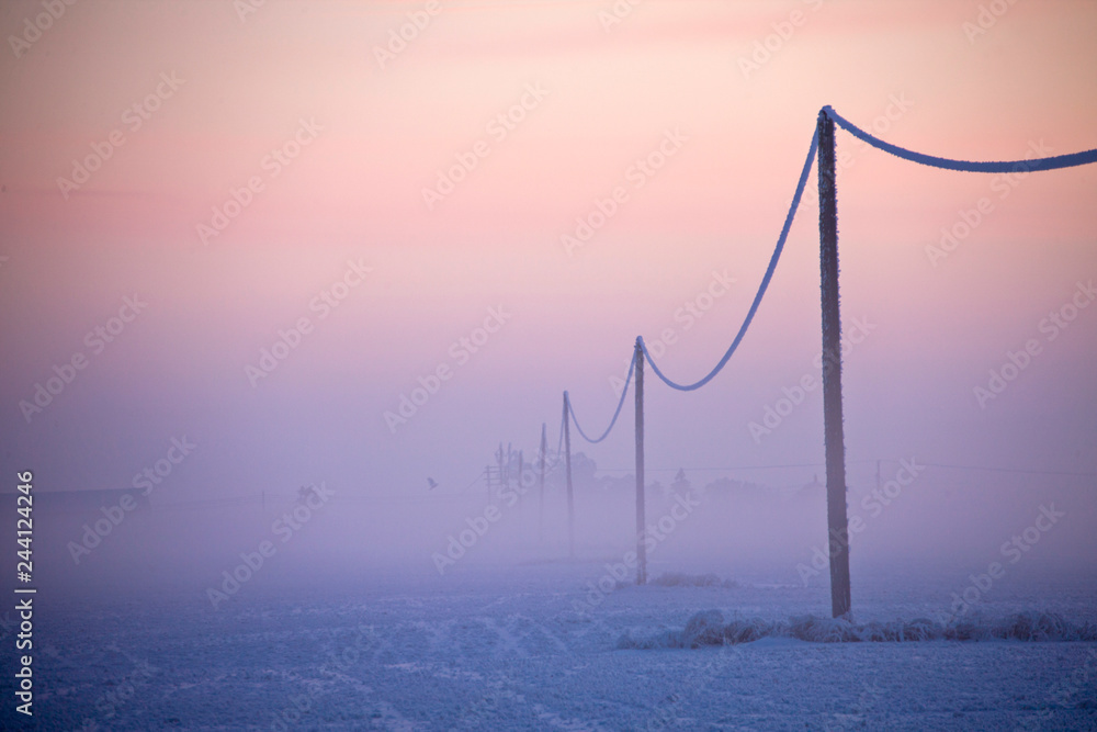 Fototapeta premium Winter Frost Saskatchewan