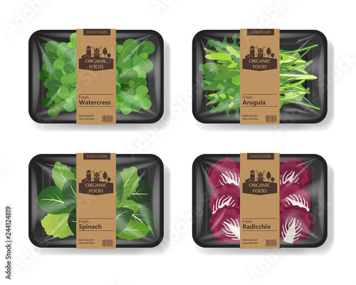 Salad leaves with plastic tray container with cellophane cover. Retro design set. Mockup template for your salad design. Plastic food container. Vector illustration.