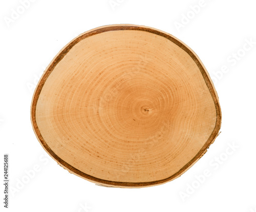 Cross section of tree trunk with annual growth rings isolated on white background